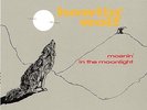 Howlin' Wolf Moanin' in the Moonlight LP 180 gram vinyl record sealed