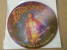 Hawkwind - The Hawks Gathering pic disc 7