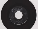 VERY RARE Garage Fuzz - The Cords GHOST POWER - Cuca Records 1513