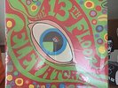 The 13th Floor Elevators vinyl 2 LP mono and stereo version texas psychedelic