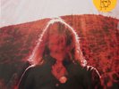 TY SEGALL LP MANIPULATOR FUZZ EPSILONS OH SEES WHITE FENCE PRESLEY CRONIN ZAPPA