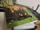 RATTLES The Witch ORIG PHILIPS LP Rare Psych Krautrock 1970