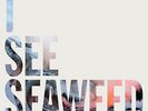 THE DRONES I See Seawed 2xLP . gareth liddiard scientists kim salmon einsturzend