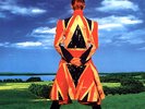 David Bowie - Earthling LP 180g Vinyl NEW