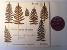 OISTRAKH  Ormandy Sibelius Philips Hi Fi Stereo UK N/Mint LP
