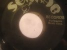 SENRAB - Pollution - John Clarke