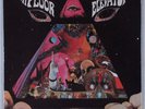 13TH FLOOR ELEVATORS Live Texas 1967 AUSTIN 7
