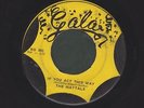 THE MAYTALS fever / if you act this way REGGAE 45 on GALA
