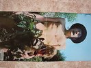 FLEETWOOD MAC. Mr. Wonderful. Blue Horizon. S7-63205. Stereo. 1968. UK.