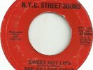 The Village Choir - N.Y.C. Street Sound 1000 ( Stereo ) Sweet Hot Lips ( Rare )