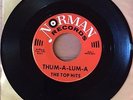 The Top Hits Thum-A-Lum-A/Love No One on Norman Records 45 Single