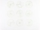 RYAN TEAGUE-FIELD DRAWINGS -VINYL LP VILLAGE GREEN NEU