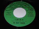 The Daley Diggers: I Can Dig It / For The Good Times 45 - Funk / Soul
