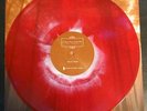If These Trees Could Talk - Red Forest - Red w/ White Haze - limited to 100