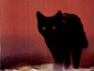 Smith Jimmy, The Cat w.Lalo Schifrin, UK Verve 2317 010 LP