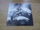 THIRD MAN RECORDS RARE VAULT RECORD 7 INCH VINYL TMR286 DEAD WEATHER BUZZKILLER