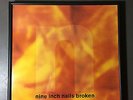 Nine Inch Nail 10 Record Set Framed In Great Condition Incl. Records + Jackets