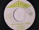 rare Texas Soul 45 SUNLITES when a man loves a woman SEGOGOVIA Percy Sledge