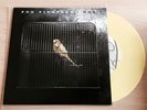 FOO FIGHTERS - D.O.A   7