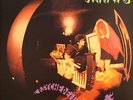 CRAMPS, The - Psychedelic Jungle (reissue) - Vinyl (180 gram vinyl LP)