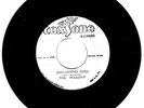 SEND ANOTHER MOSES - The Willows (R65292)