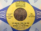 Northern Soul---REPARATA AND THE DELRONS--It's Waiting There For You---