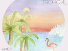 James Vincent McMorrow Post Tropical Vinyl LP New