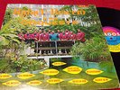 LP RAFAEL BRACERO / SISO/CHARLIE 