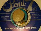 JUNIOR McCANTS - TRY ME FOR YOUR NEW LOVE