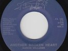 Modern Soul Boogie 45 - Aaron Williams - Dedicated Lovers - Future Star - mp3