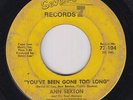 Northern Soul 45 - Ann Sexton - You've Been Gone Too Long - 77 - mp3