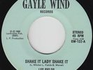 Modern Soul Funk 45 - Lee Fields - Shake It Lady Shake It - Gayle Wind - VG+ mp3