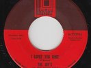 Northern/Deep Soul 45 - Joy's - I Loved You Once - Master - VG++ mp3