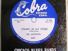 Fishin In My Pond LP Blues Buddy Guy Morris Pejoe Guitar Shorty Flyright UK