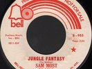 very RARE jazzdance KILLER flute SAM MOST JUNGLE FANTASY bell promo ONLY