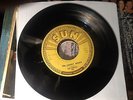 The SUNRAYS 45 The Lonely Hours SUN 293 VG ORIGINAL 1958 Rockabilly