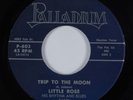 Funk Psych 45 LITTLE ROSE & RHYTHM & BLUES Trip To Moon PALLADIUM NM/VG++ HEAR