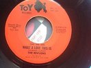 The Revlons what a love this is/did I make a mistake northern soul