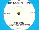THE ASCENSIONS: The Stud 45 private punk/powerpop hear