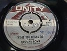 Reggae Boys What You Gonna Do Rare Killer Ska Rocksteady 7