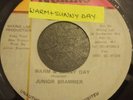 Junior Brammer Warm & Sunny Day killer Digi 7