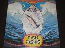 Steve Hillage rare '75 UK press LP Fish Rising on Virgin mint- * canterbury prog
