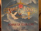 SPIRIT OF LOVE Power of Your Love BIRTHRIGHT LP  modern soul Funk Calvin Bridges