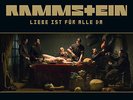 Rammstein Liebe ist für alle da Vinyl