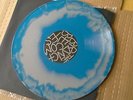 NEW SUPER RARE Circle Takes the Square - As the Roots Undo Grey Aqua Vinyl x/600