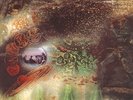Pink Floyd - A Saucerful Of Secrets Vinyl US LP