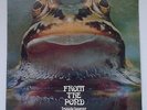 Vintage Froggie Beaver FROM THE POND Record LP UNOPENED 1973 Psychodelic Rock