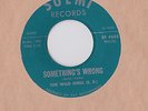 THE WILD ONES SOMETHING'S WRONG SUEMI EL PASO TEXAS GARAGE 45 1965 hear