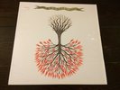 Lungfish Love Is Love Rare LP