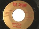THE BENDERS Can't Tame Me / Got Me Down 45 Rare Garage Psych Punk Big Sound